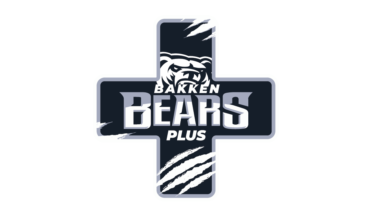 BearsPLUS erhvervsnetværk i Aarhus