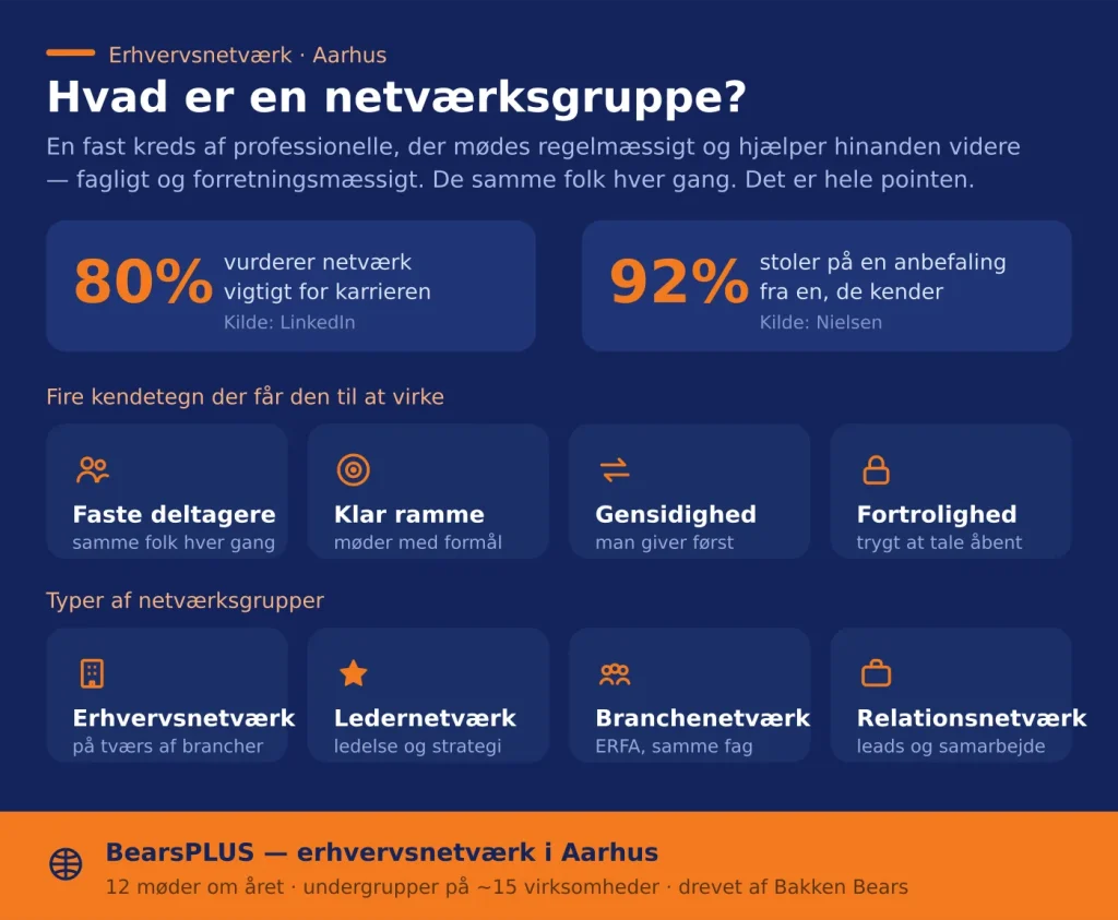 Infografik: hvad er en netværksgruppe – kendetegn, typer og BearsPLUS erhvervsnetværk i Aarhus